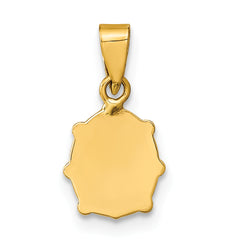 14K Polished Red/Black Enamel Ladybug Pendant