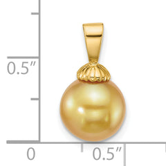 14k Polished 9-10mm Round Golden South Sea Saltwater Cultured Pearl Pendant