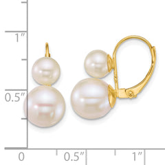 14k Polished 6-9mm Round White Freshwater Cultured 2-Pearl Leverback Earrings