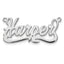 14k White Gold Polished Name Plate