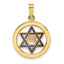 14k Polished and Enameled Solid Star of David Pendant