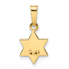 14k Polished and Enameled Solid Star of David Pendant