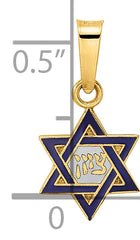 14k Polished and Enameled Solid Star of David Pendant