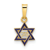 14k Polished and Enameled Solid Star of David Pendant