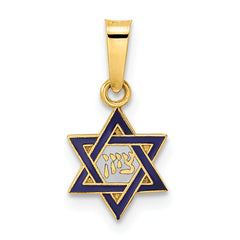 14k Polished and Enameled Solid Star of David Pendant