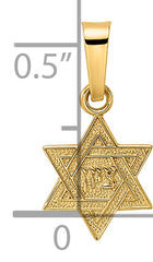 14k Polished & Textured Solid Star of David Pendant