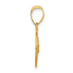 14k Polished and Satin Solid Face of Jesus Medal