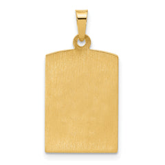 14K Rectangular Hollow Our Lady of Guadalupe Medal