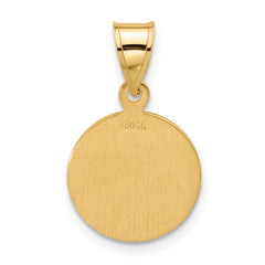 14k Polished and Satin Solid Miraculous Mary Plain Back Medal