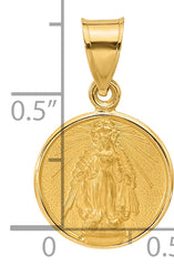14k Polished and Satin Solid Miraculous Mary Plain Back Medal