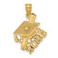 2026 Graduation Cap & Diploma Charm in 14K Yellow Gold, 23mm Textured - Sophia Jewelers