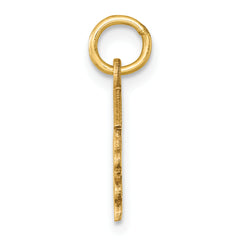 14K Graduation Cap and Diploma 2025 Charm