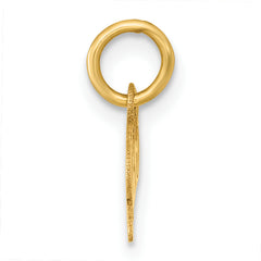 14k Polished and Satin Horizontal 2025 Charm