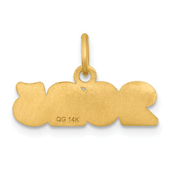 14k Polished and Satin Horizontal 2025 Charm
