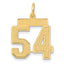 14K Gold Satin Brushed Number 54 Charm Medium, Laser Cut