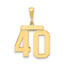 14K Gold Large Polished Number 40 Charm for Themed Jewelry