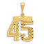 14K Gold Large Diamond-Cut Number 45 Charm with Brushed Finish
