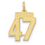 14K Gold Satin Number 47 Charm with Brushed Finish Small & Elegant