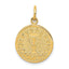 14K Yellow Gold Polished and Satin COMMUNION Round Disc Charm