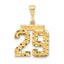 14K Gold Diamond-Cut Number 29 Charm in Polished Finish Medium