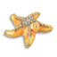 Luxury Giftware Pewter Bejeweled Crystals Gold-tone Enameled STANLEY Starfish Trinket Box with Matching 18 Inch Necklace