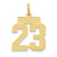 14K Gold Satin Number 23 Charm with Brushed Finish Small and Elegant