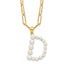 Sterling Silver Gold-plated 3-5.5mm White Button Freshwater Cultured Pearl LETTER D 18 inch Necklace
