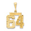 14K Gold Diamond-Cut Number 64 Charm with Polished Finish