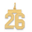 14K Gold Satin Number 26 Charm with Brushed Finish Medium