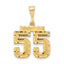 14K Gold Diamond-Cut Number 55 Charm Polished Medium Pendant