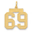 14K Yellow Gold Medium Satin Finish Number 69 Charm Laser Cut, Themed Pendant