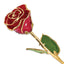 Lacquer Dipped Gold Trimmed Red Real Rose