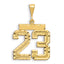 14K Gold Large Diamond-Cut Number 23 Charm with Brushed Finish