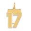 14K Gold Satin Number 17 Charm with Brushed Finish Medium Size