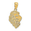 14K Gold Lion Head Pendant for Men Solid, Casted, Elegant Design