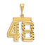 14K Gold Large Diamond-Cut Number 48 Brushed Charm