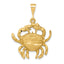 14K Gold Satin Diamond-Cut Cancer Zodiac Charm by Sophia Jewelers