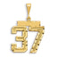 14K Gold Large Diamond-Cut Number 37 Charm with Brushed Finish