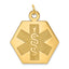 14K Medical Jewelry Unenameled Pendant