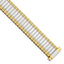 Two-Tone Expansion Watch Band in Stainless Steel