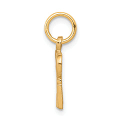 10K Gold Solid SPOILED ROTTEN Charm with Polished Finish Themed