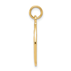 10K Gold Miraculous Medal Pendant with Polished Solid Finish