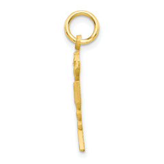 **10K Solid Gold Registered Nurse Charm with Polished Finish Elegant and Durable Gift**