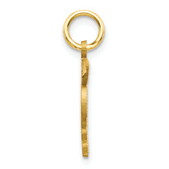 10K Solid Gold Doctor of Medicine MD Charm with Polished Finish Elegant, Meaningful Gift