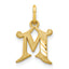 10k Initial M Charm