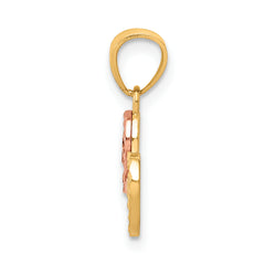 10K Two-Tone Gold 15 ANOS Charm with Polished Finish Solid Design