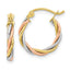 10k Tri-color Polished 2.5mm Twisted Hoop Earrings