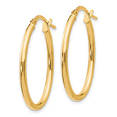 10K Gold Polished Oval Hoop Earrings with Hinged Wire Closure