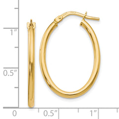 10K Gold Polished Oval Hoop Earrings with Hinged Wire Closure