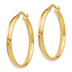 10K Gold Polished Hoop Earrings with Hollow Design and Lifetime Guarantee